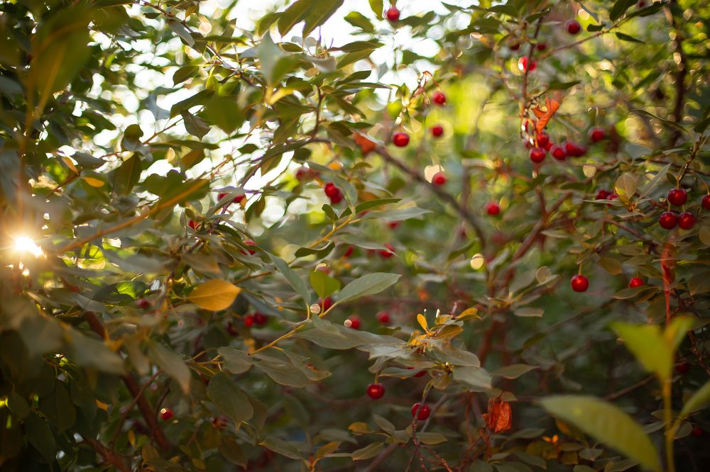 Photograph by Ляйсан Загидуллина