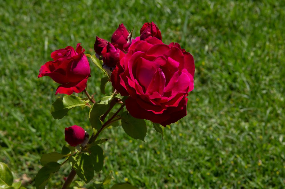 Photograph by Ляйсан Загидуллина