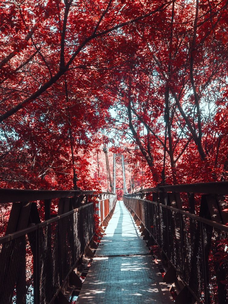 Photograph by Кирилл Березов