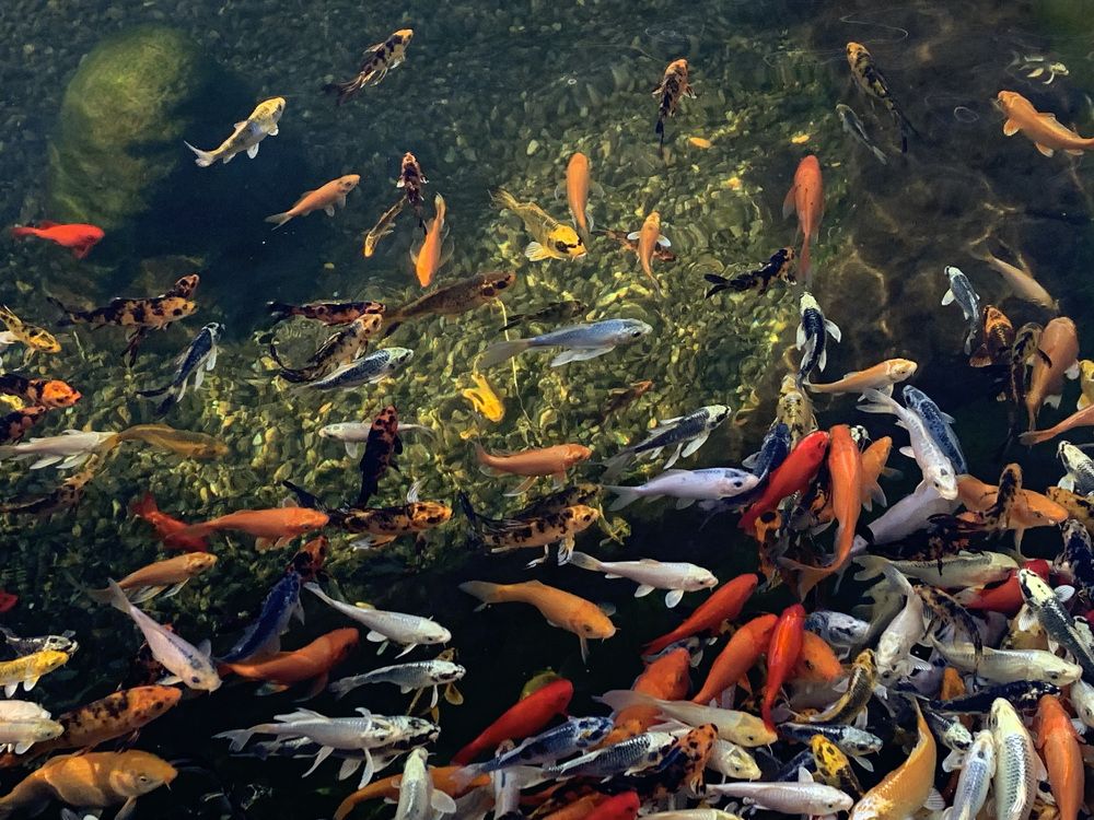 Подводный мир