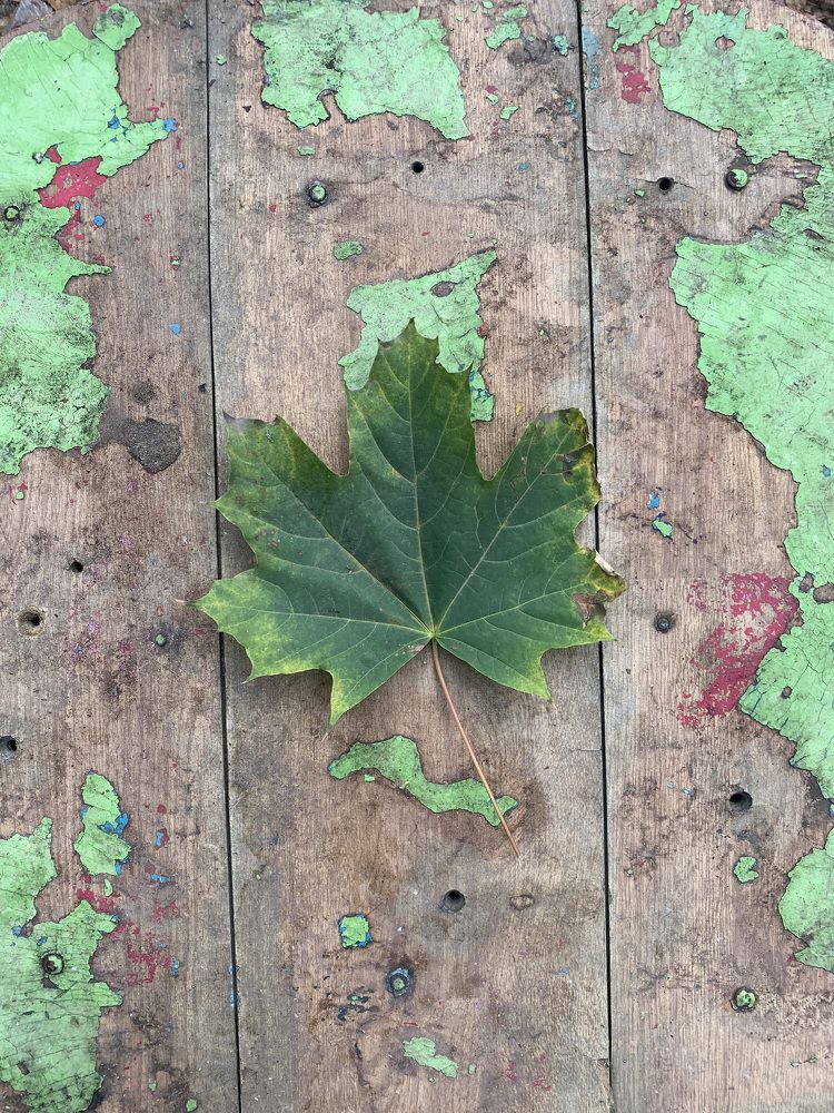 Photograph by Ольга Шестакова