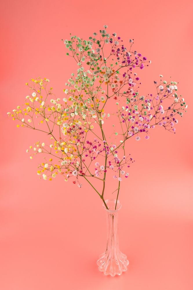 Photograph by Ольга Шестакова