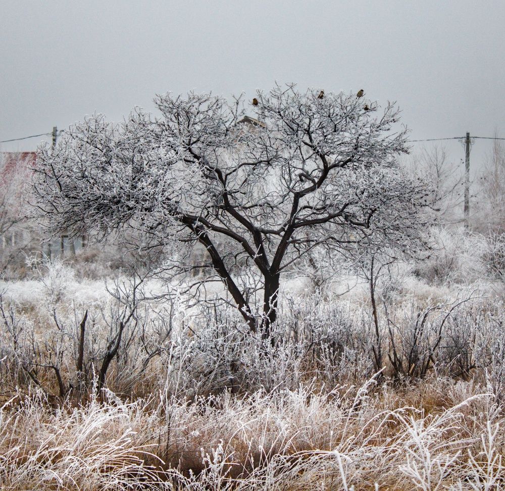 Photograph by Оксана