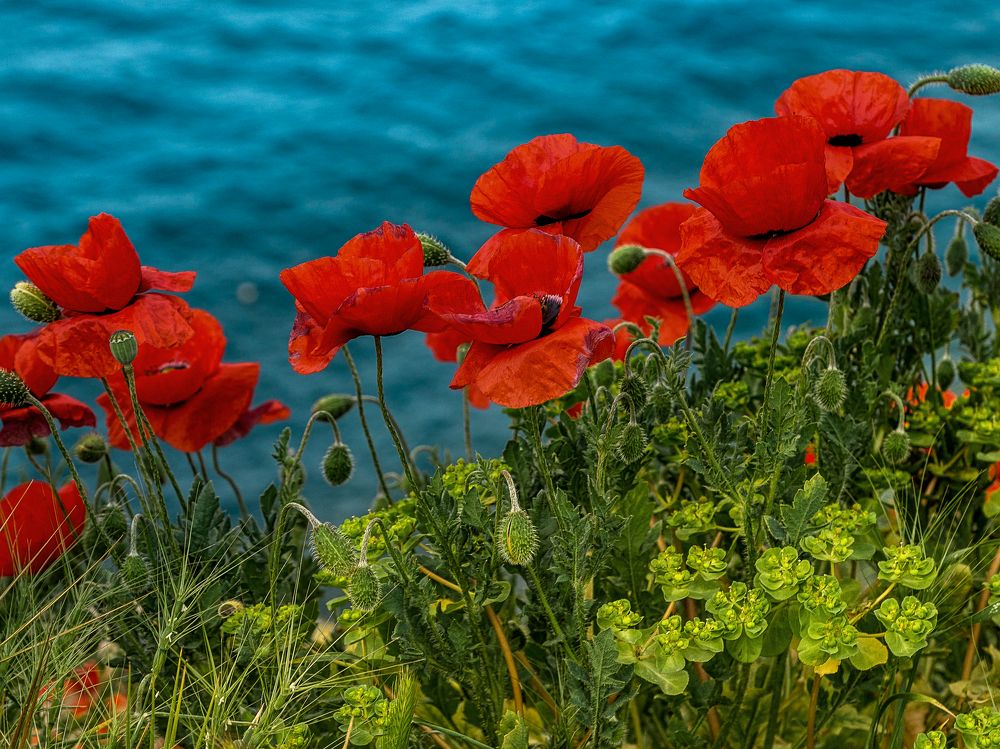 Photograph by Андрей Евтеев