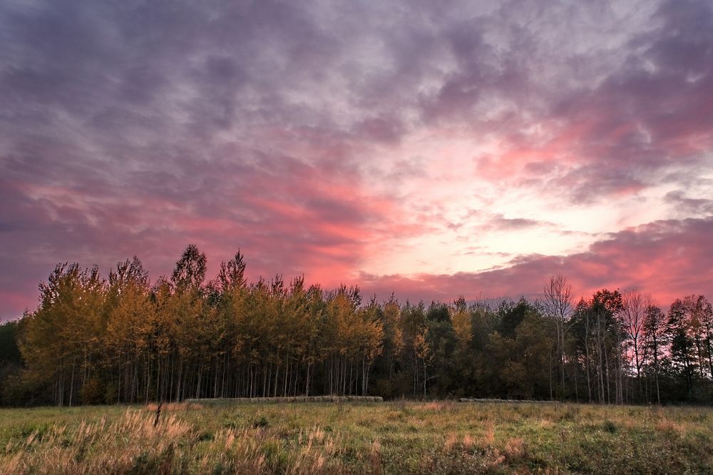 Photograph by Vitalijs Kopa