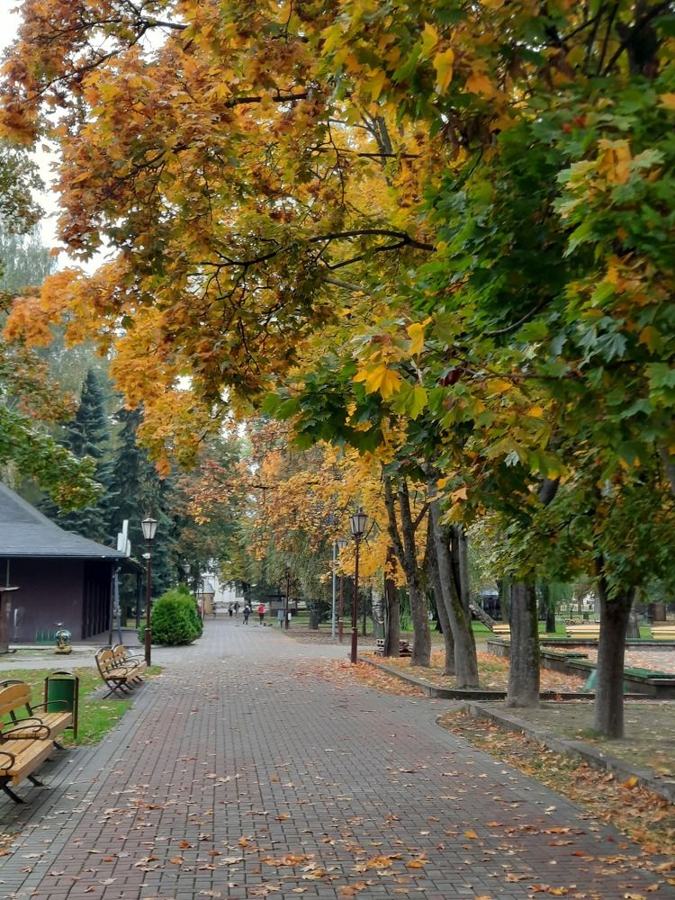 Photograph by Ириша Гайдель