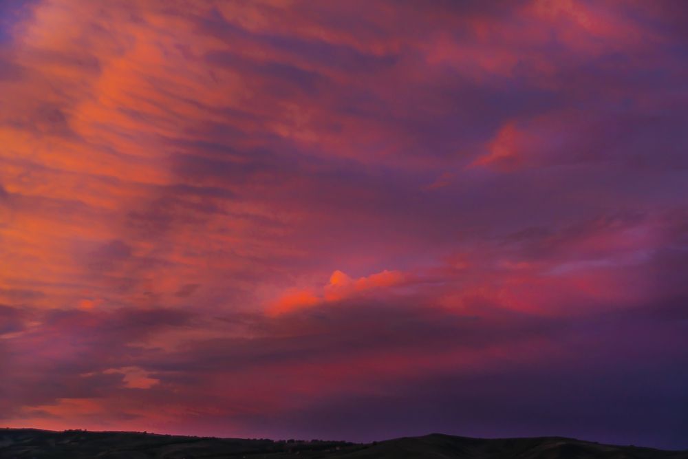 Полетели стрелы.