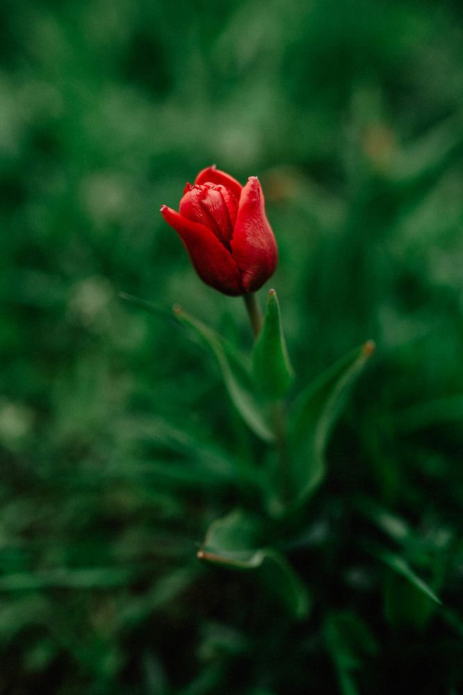 Photograph by Юлия Ефимова