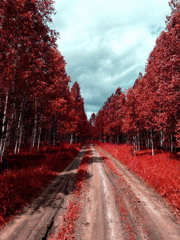 Photograph by Кирилл Березов