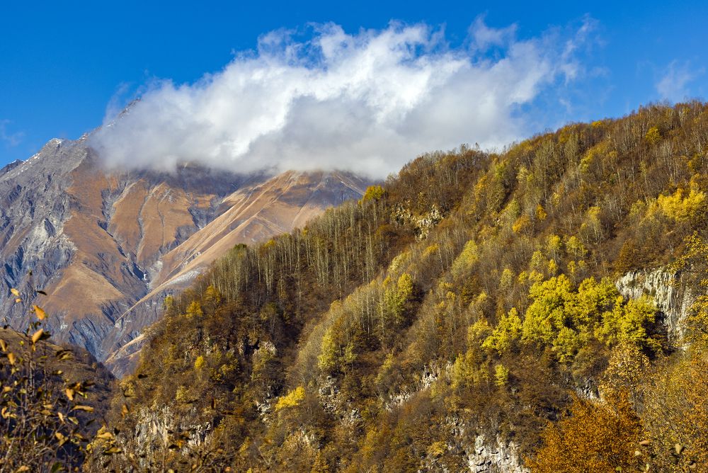 Photograph by Alex Kalpus