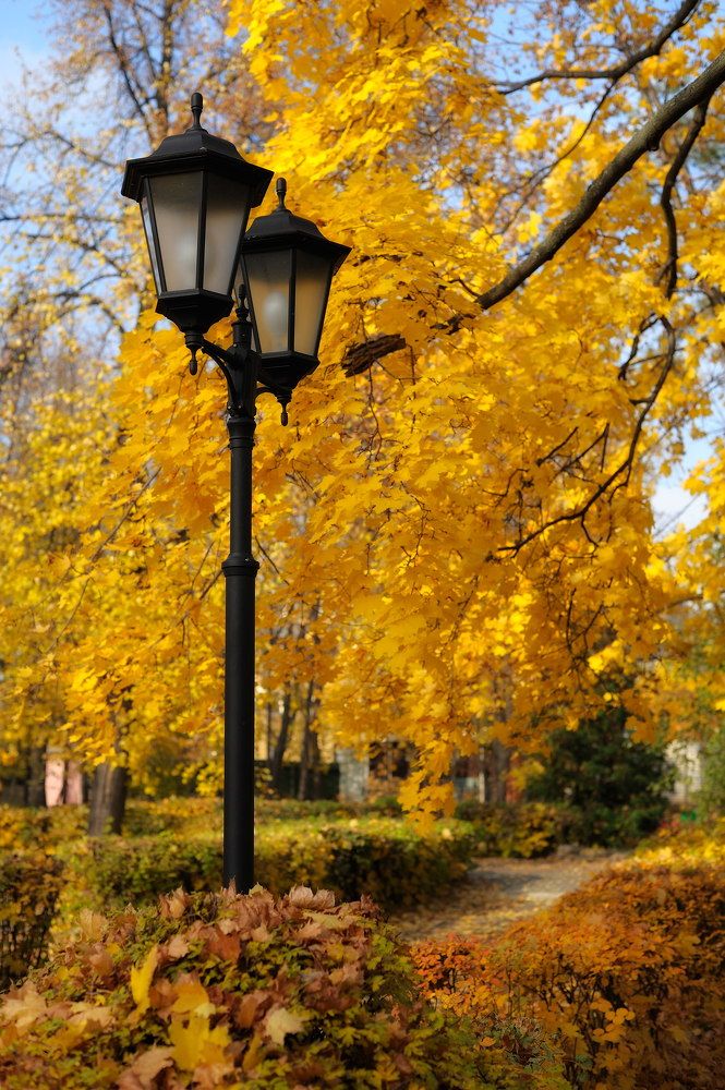 Photograph by Владимир Щеголев