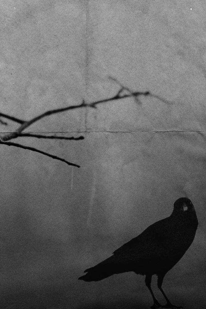 Photograph by Мария Никифорова