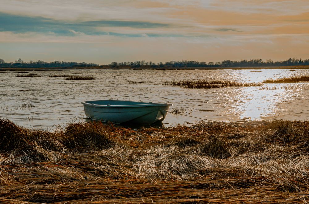 Photograph by Сергей