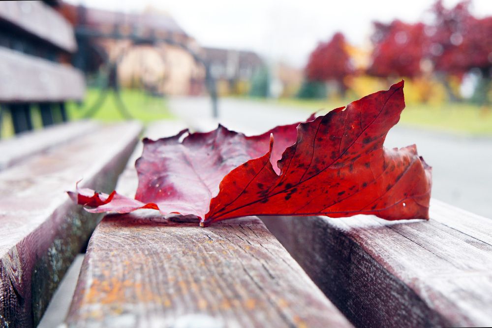 Photograph by Андрей Ушаков