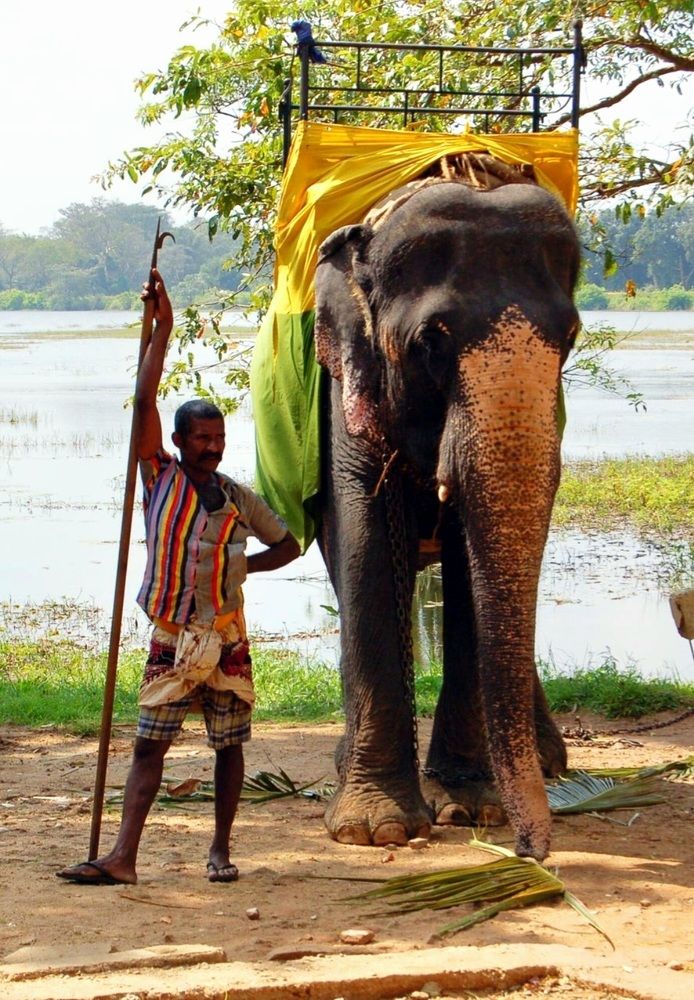 Photograph by Hanna Bourne