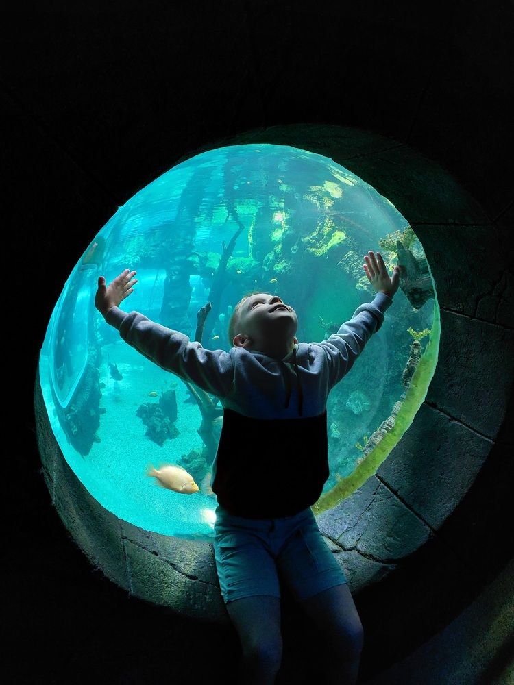 Photograph by Ольга Аркилович