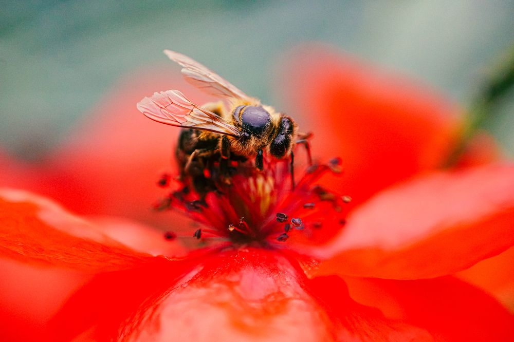 Photograph by Александр Казак