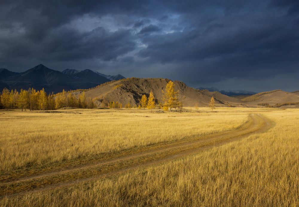 Photograph by Трофимов Алексей