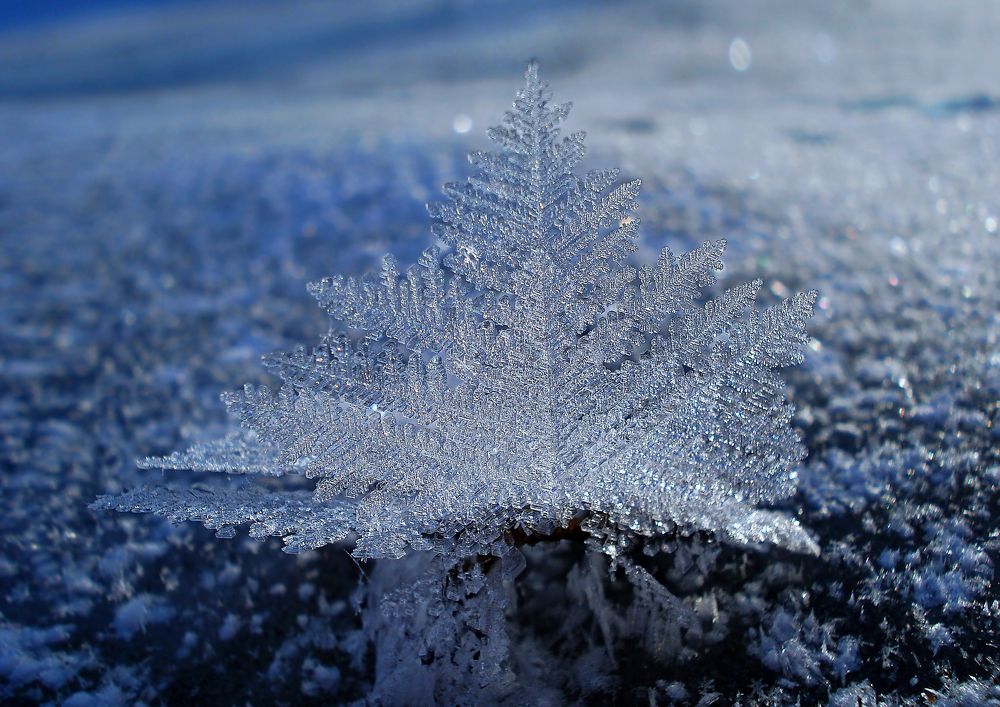 Photograph by Павел Колеснев