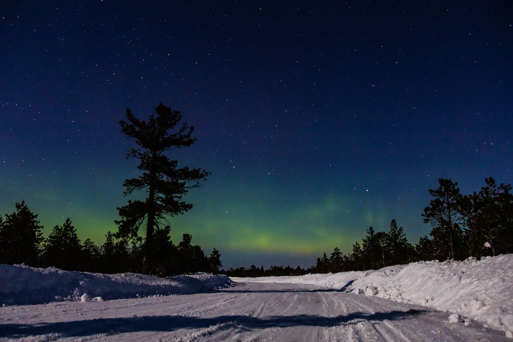 Photograph by Григорьев Денис