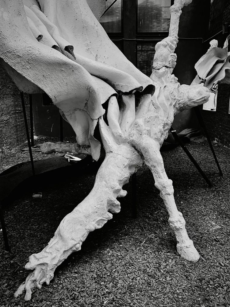 Photograph by Станислав Ситников