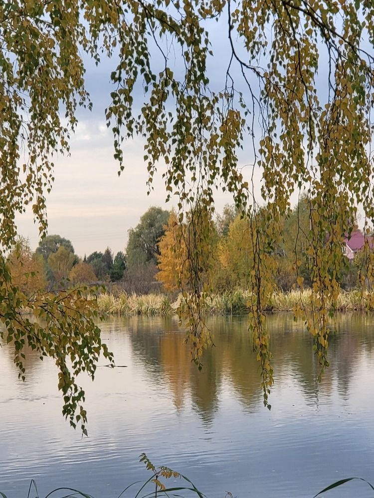 Photograph by Ирина Кртина