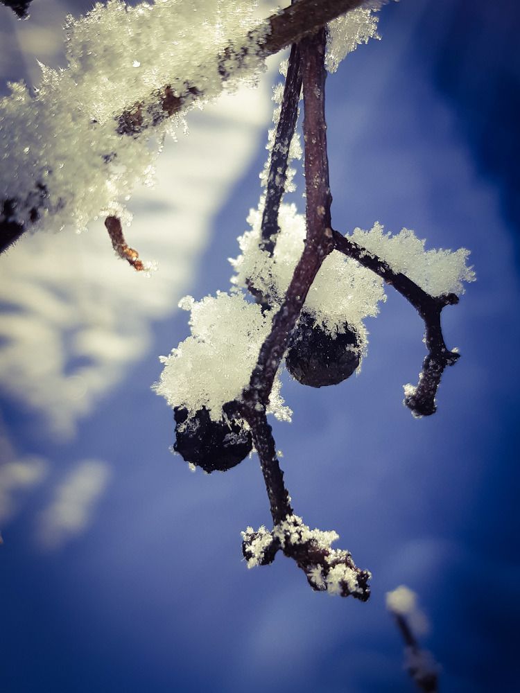 Photograph by Елена Безгинова