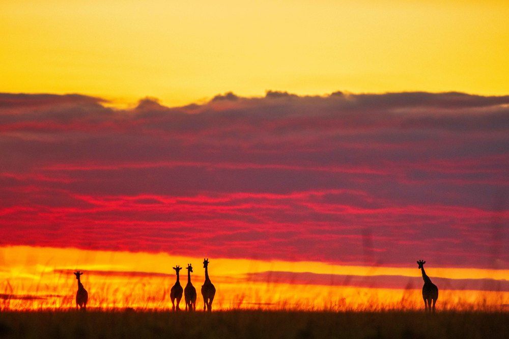 Photograph by Zubair Irshad