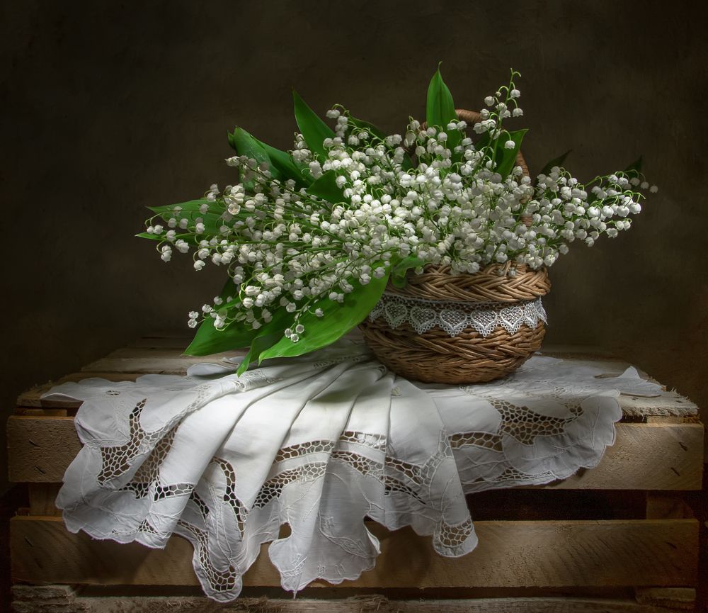 Photograph by 
