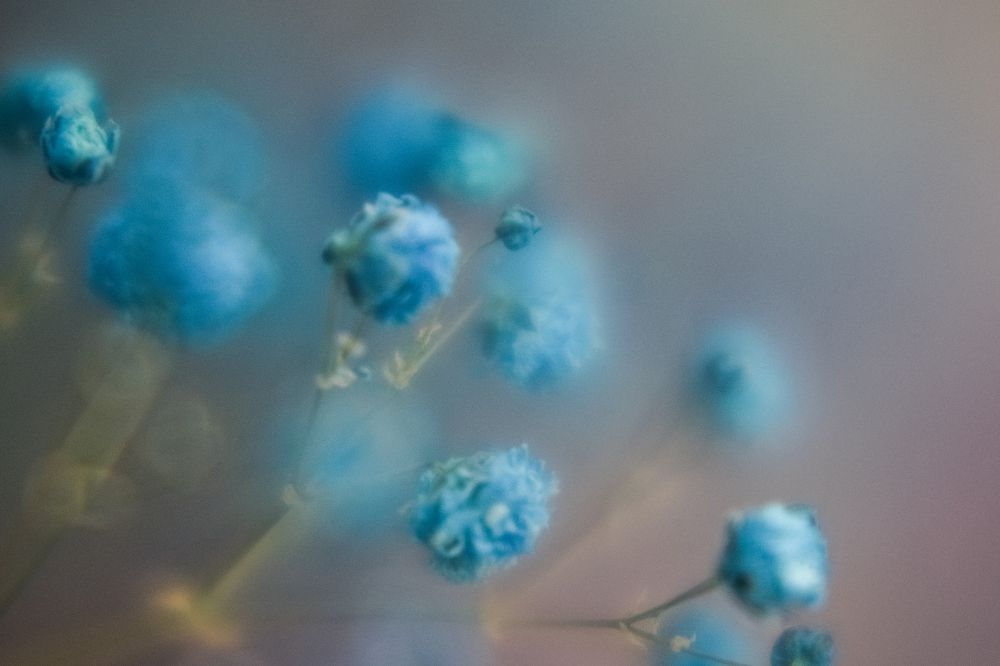 Photograph by Мария Шерер