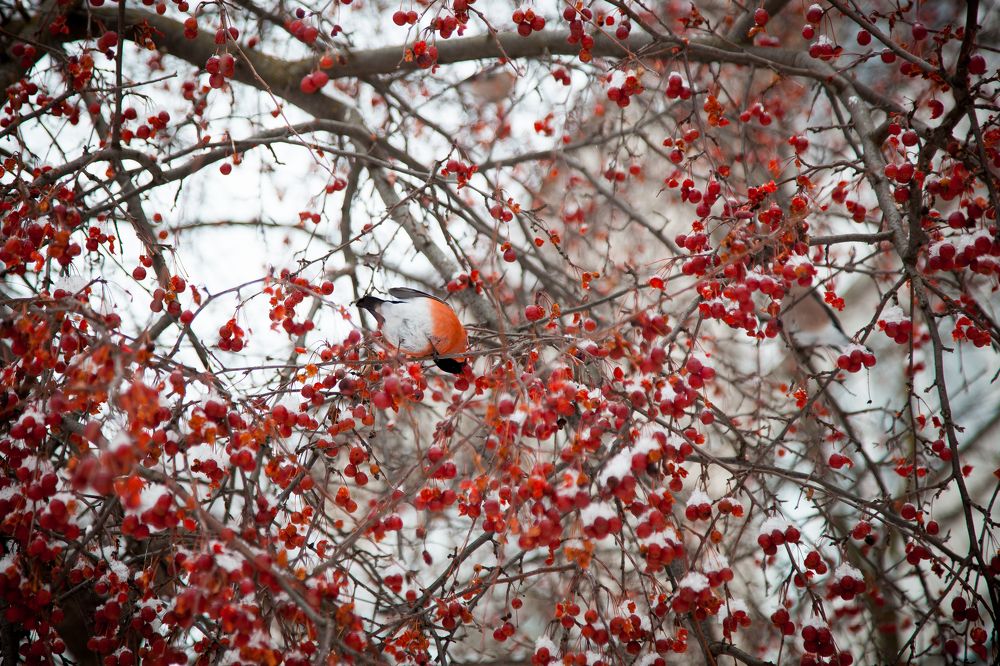 Фотография автора Наталья Ветошкина