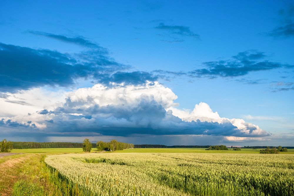 Фотография автора Александр Буренко
