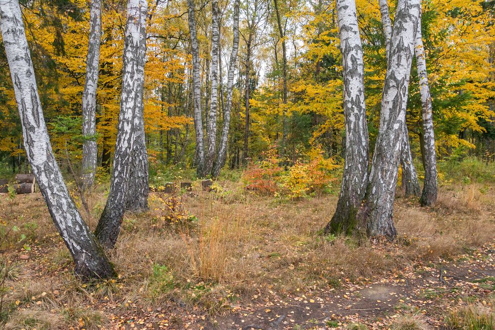 Photograph by Сипаева Катерина