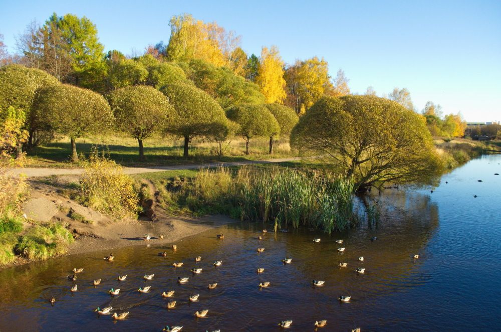 Photograph by Сергей Клапишевский