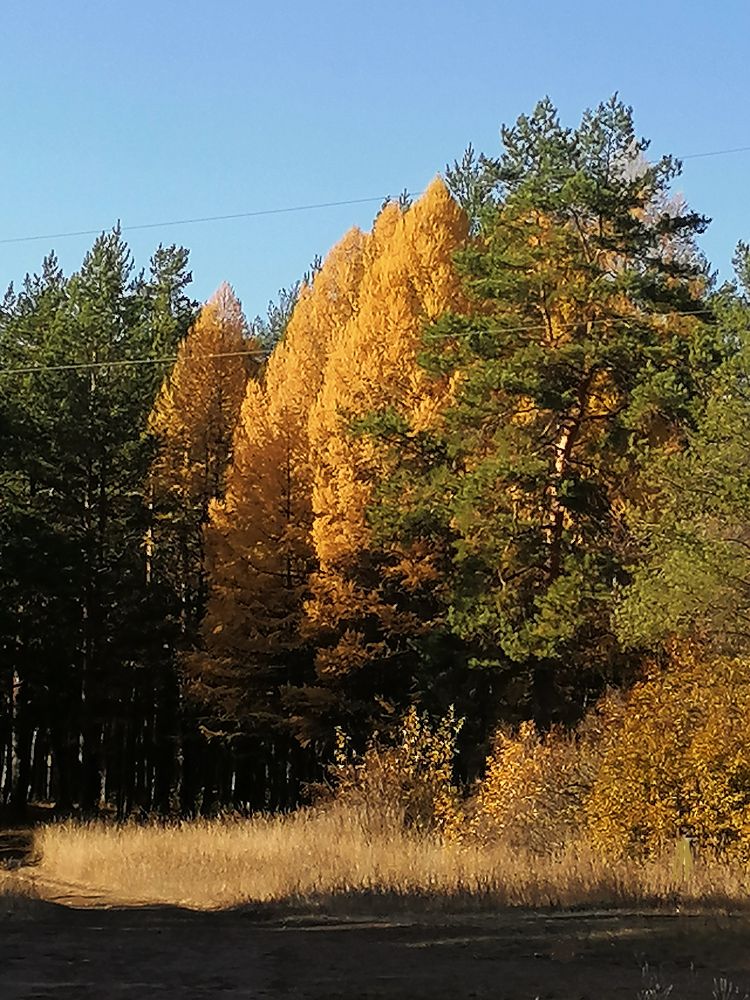 Photograph by Елена