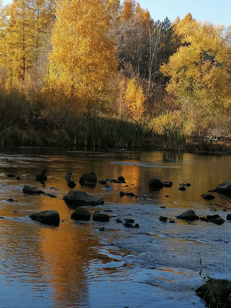 Осенний пейзаж