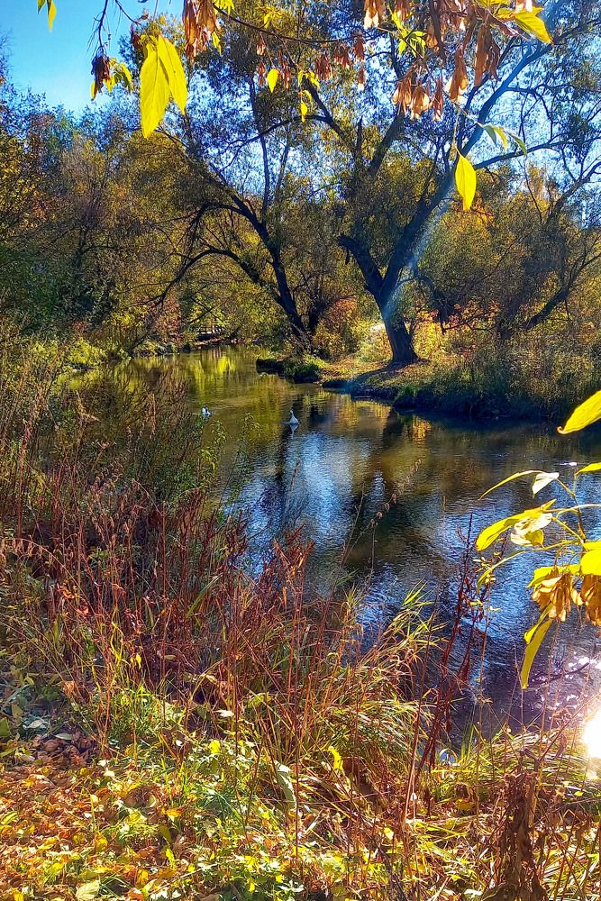 Photograph by Владимир Гречанинов