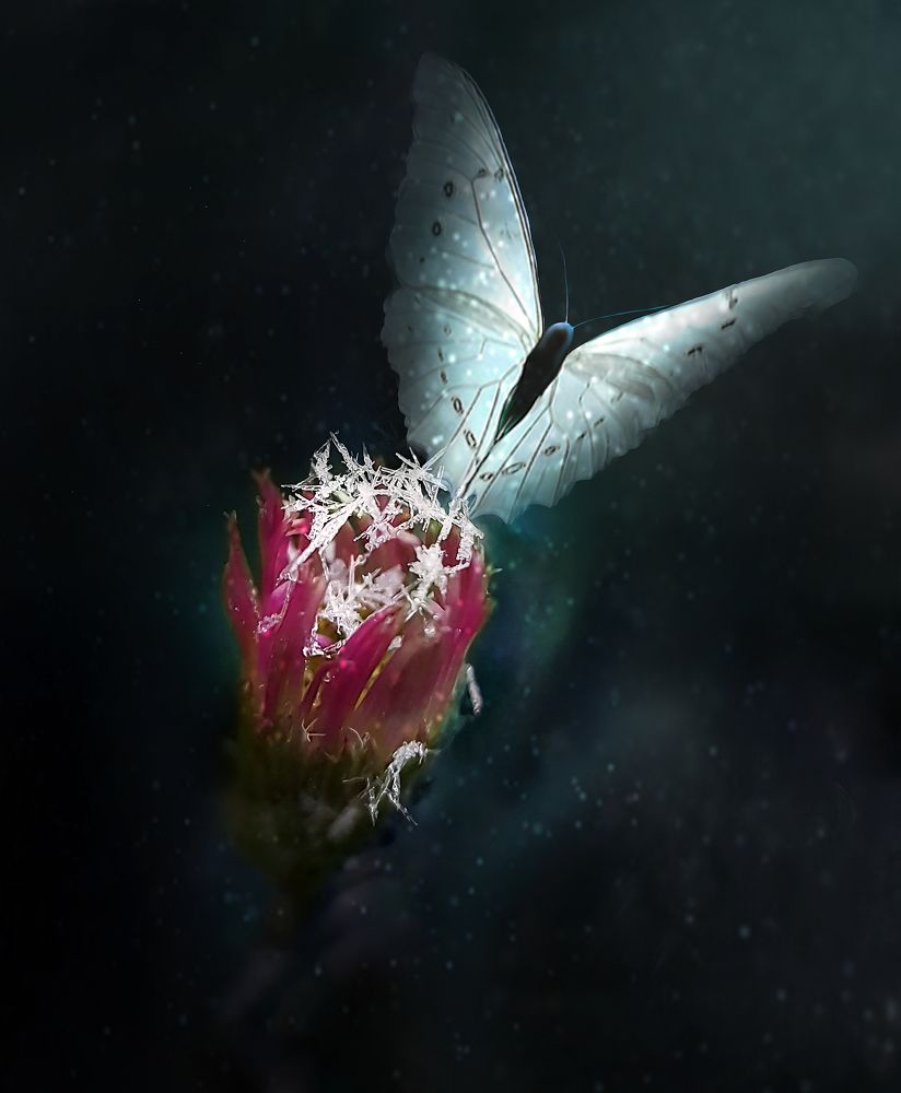 Первый снег или призрак лета