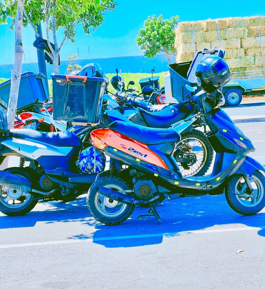 Photograph by Shannon