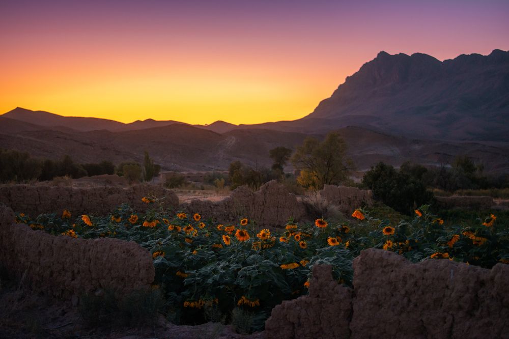 Фотография автора Amir H. Bakhtiari