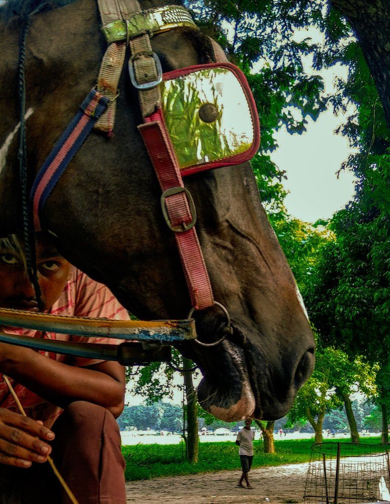 Photograph by Debjit Paul