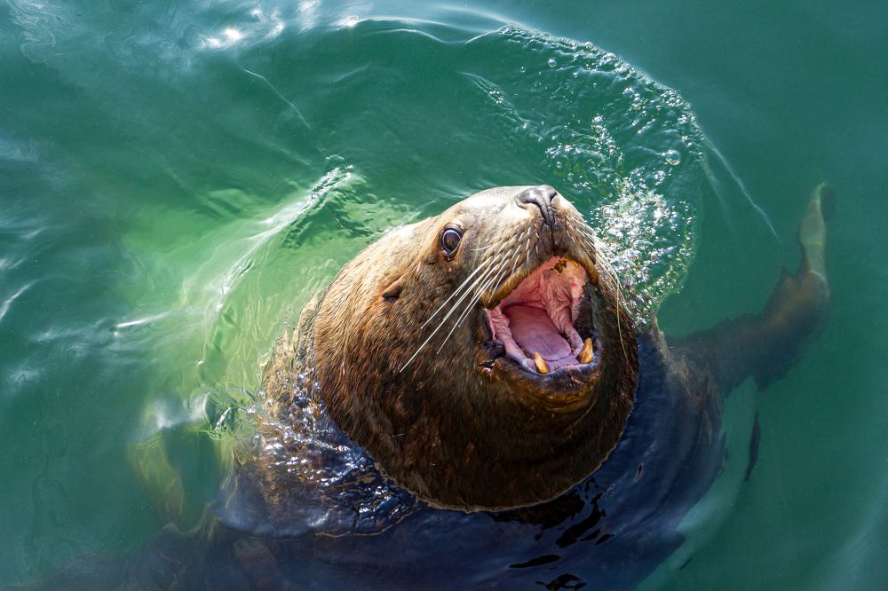 Photograph by Николай Зорин