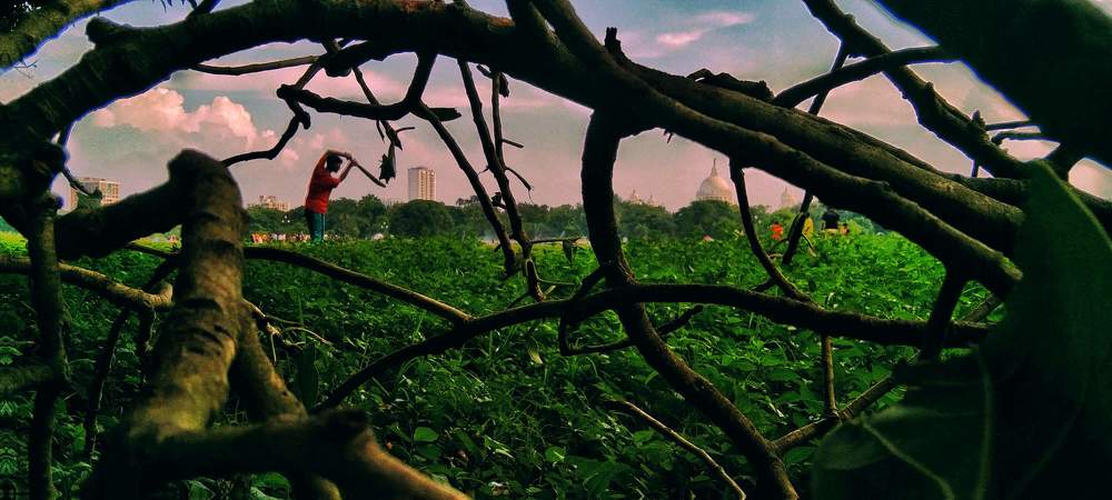 Photograph by Debjit Paul