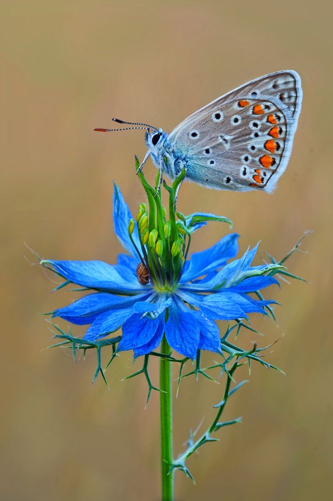 Photograph by Павел Колеснев