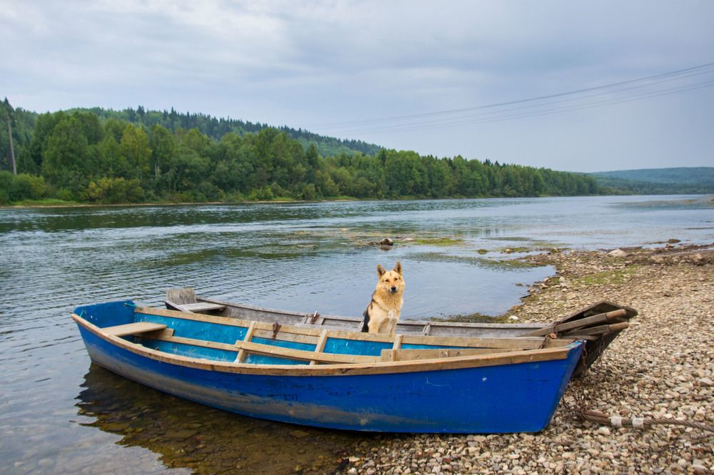 Photograph by Евгения Антропова