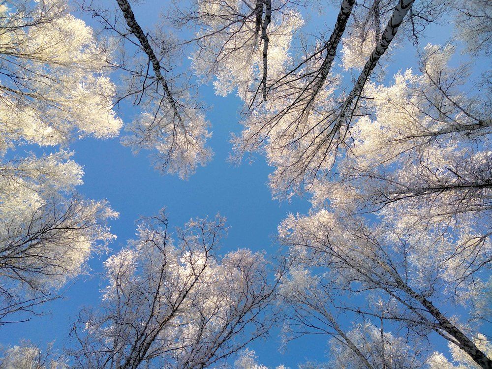 Photograph by Евгения Антропова