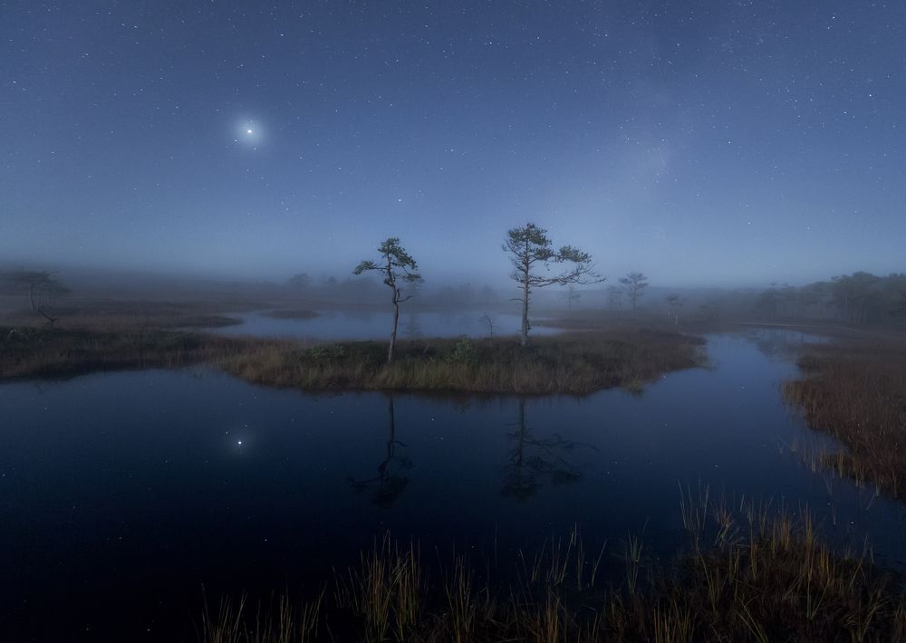 Тишина болот