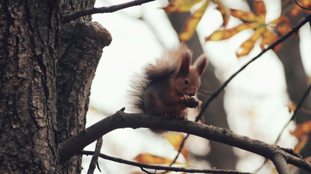 Photograph by Алёна Бондаренко