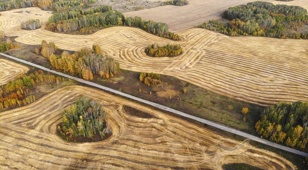 Фотография автора Татьяна Добровольская