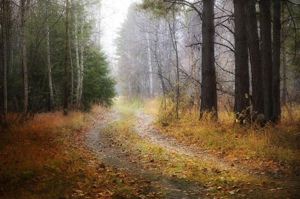 Фотография автора Татьяна Добровольская